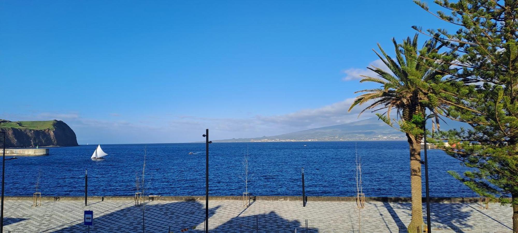 Apartment Avenida - Al 1798 *